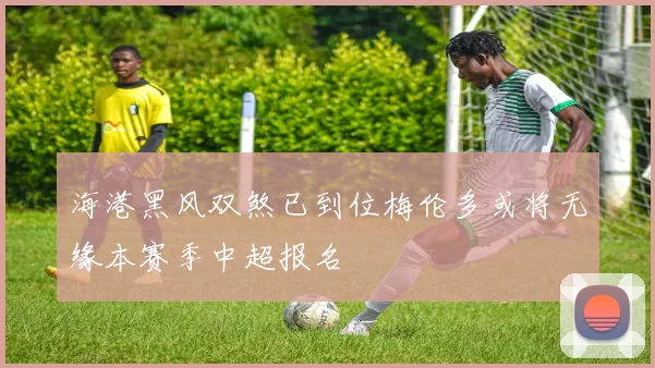 海港黑风双煞已到位梅伦多或将无缘本赛季中超报名