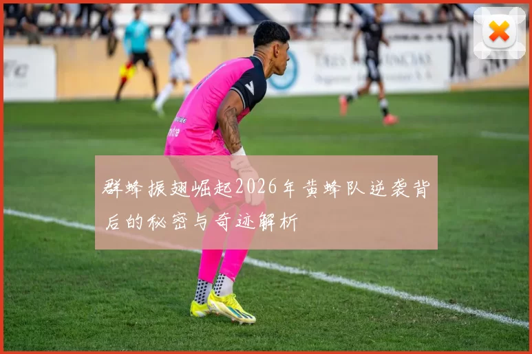 群蜂振翅崛起2026年黄蜂队逆袭背后的秘密与奇迹解析