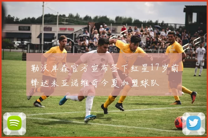 勒沃库森官方宣布签下红星17岁前锋达米亚诺维奇今夏加盟球队