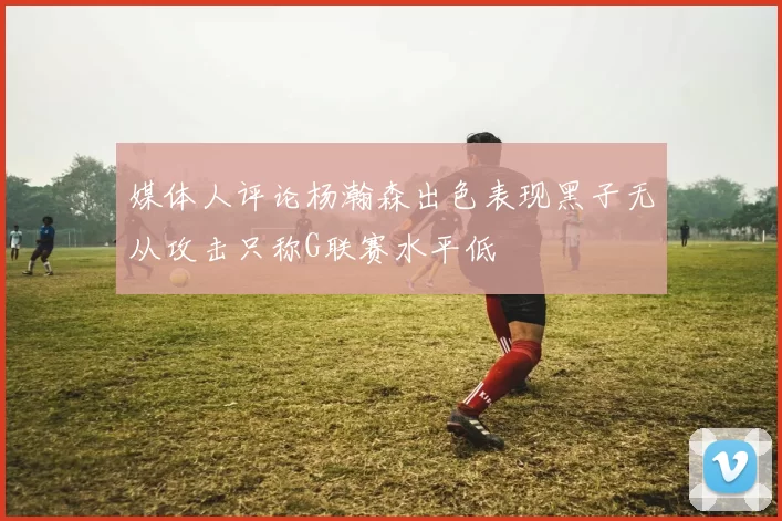 媒体人评论杨瀚森出色表现黑子无从攻击只称G联赛水平低