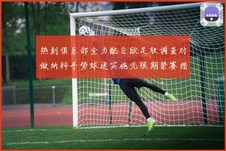 热刺俱乐部全力配合欧足联调查对做纳粹手势球迷实施无限期禁赛措施