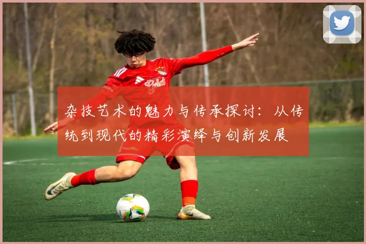 杂技艺术的魅力与传承探讨：从传统到现代的精彩演绎与创新发展